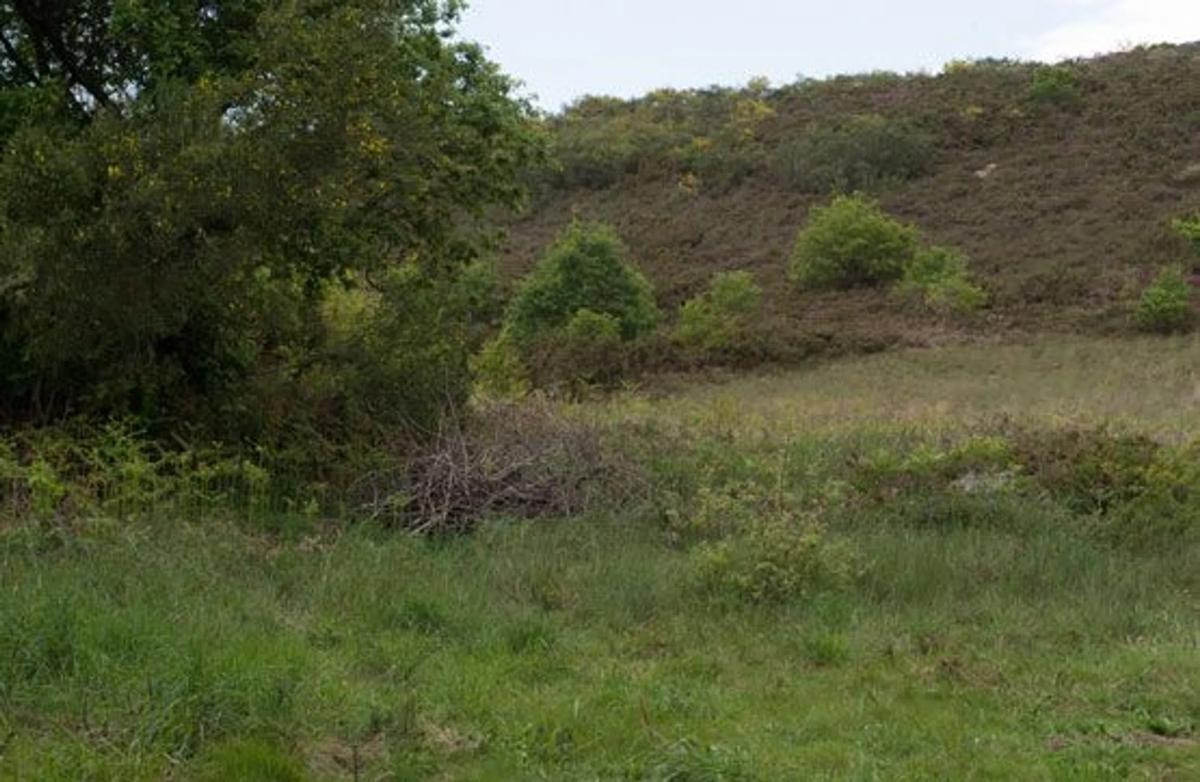 Terreno en venta en Sarreaus, Ourense photo 3