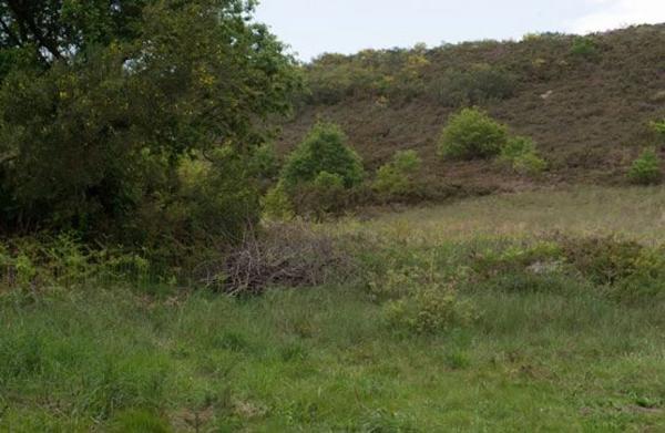 Terreno en camino sen nome photo 3