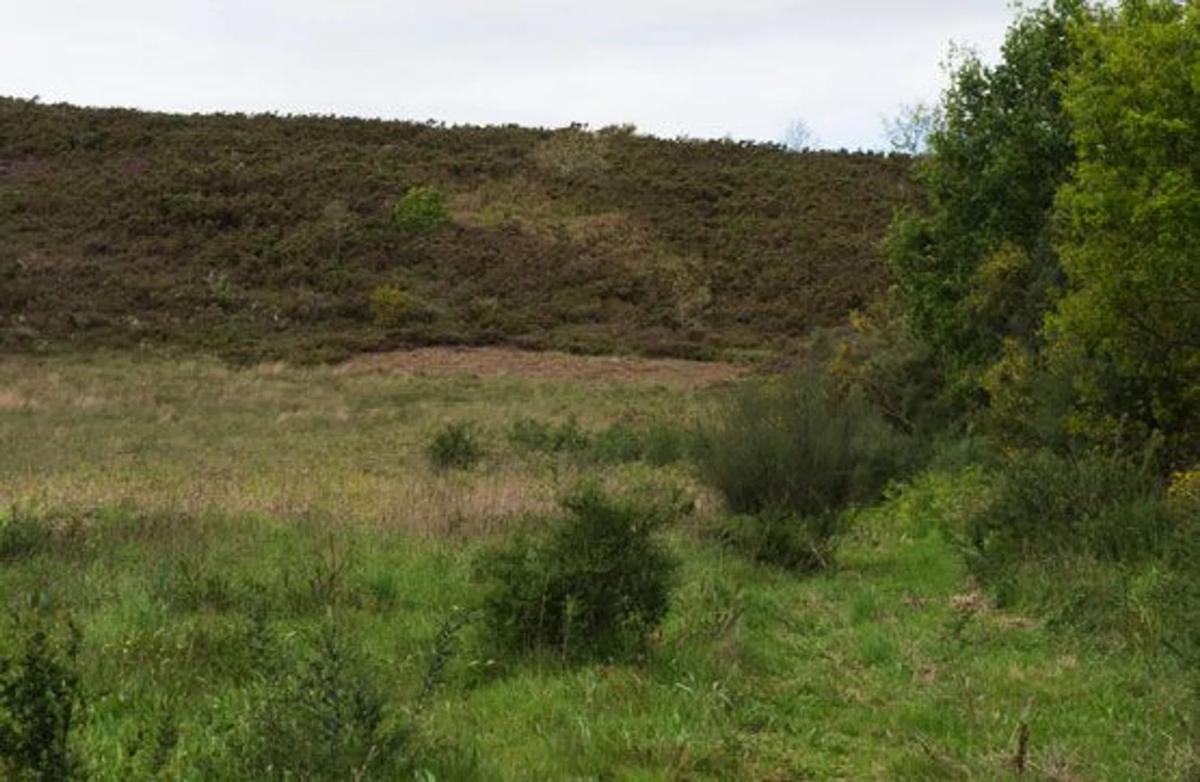 Terreno en venta en Sarreaus, Ourense photo 4