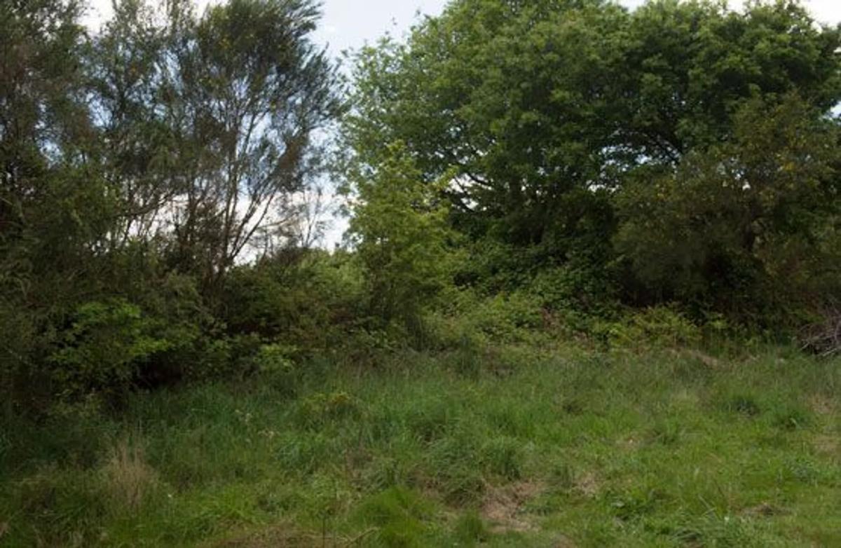 Terreno en venta en Sarreaus, Ourense photo 5