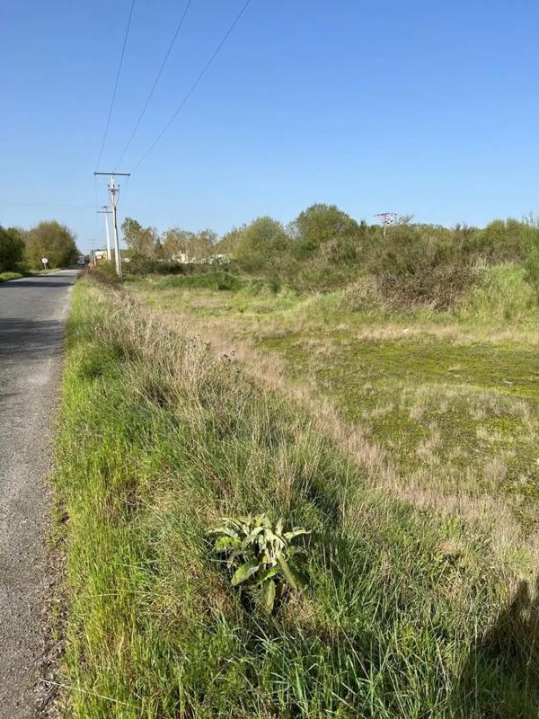 Terreno en venta en Sarreaus, Ourense photo 2