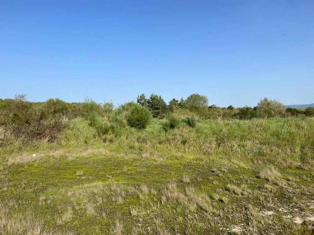 Terreno en venta en Sarreaus, Ourense photo 3