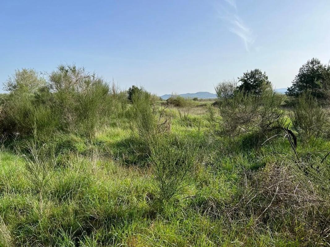 Terreno en venta en Sarreaus, Ourense photo 5
