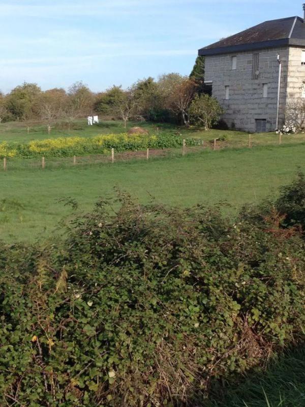 Terreno en venta en Sarreaus, Ourense photo 5