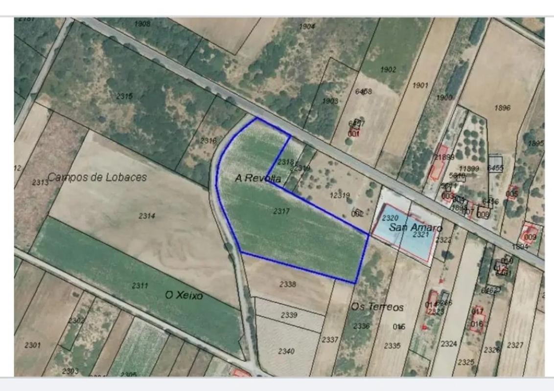 Terreno en venta en Trasmiras, Ourense photo 1