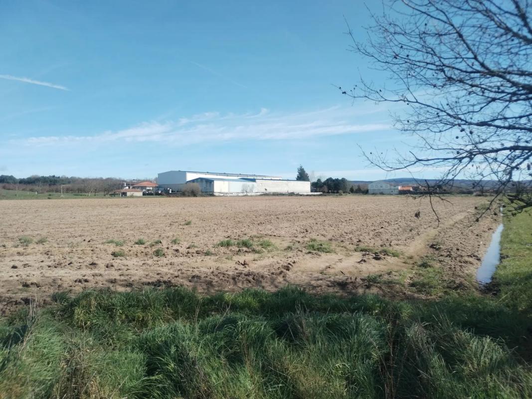 Terreno en venta en Trasmiras, Ourense photo 5