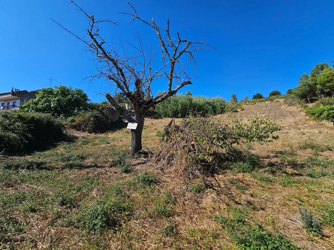 Terreno en venta en Verin, Ourense photo 1