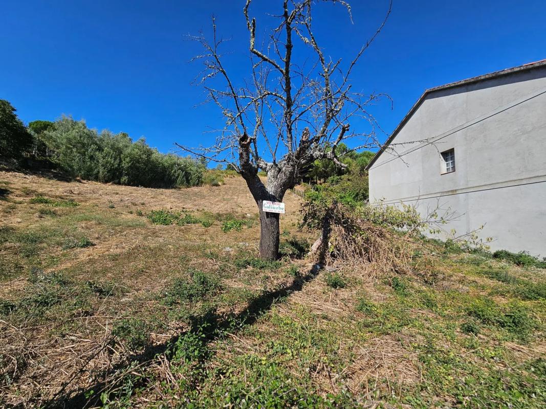 Terreno en venta en Verin, Ourense photo 5