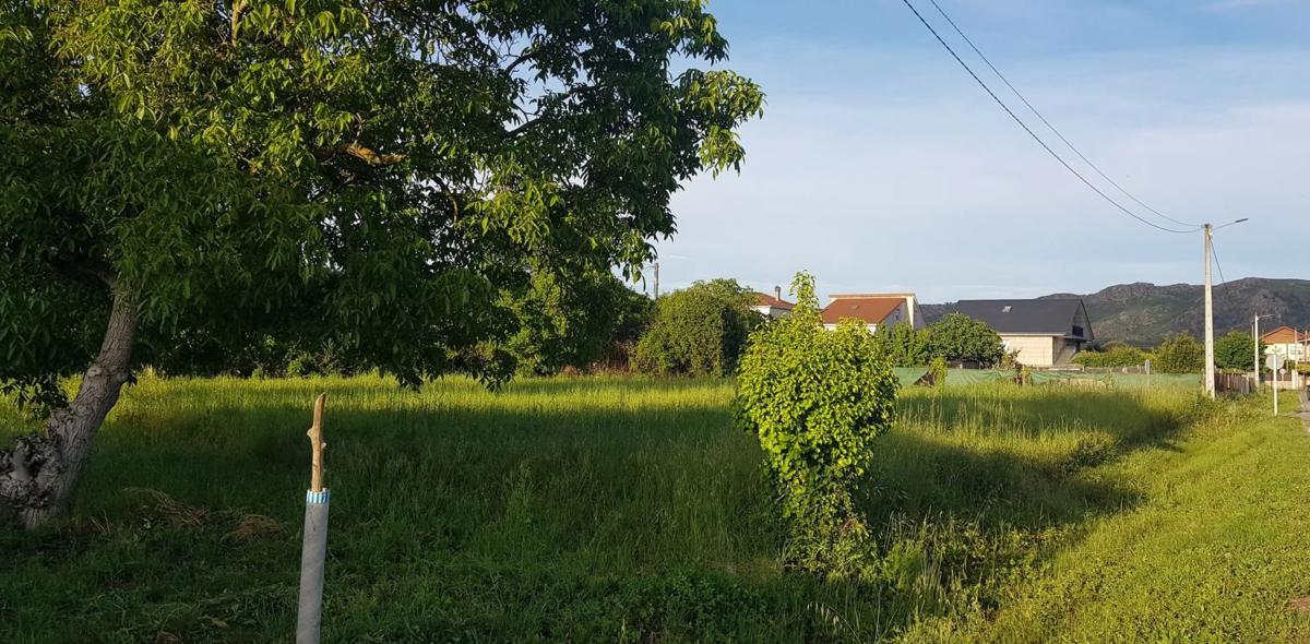 Участок земли на продажу в Верийн, Оренсе photo 4