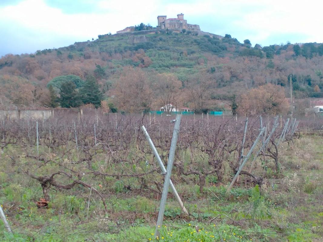 Terreno en venta en Verin, Ourense photo 2
