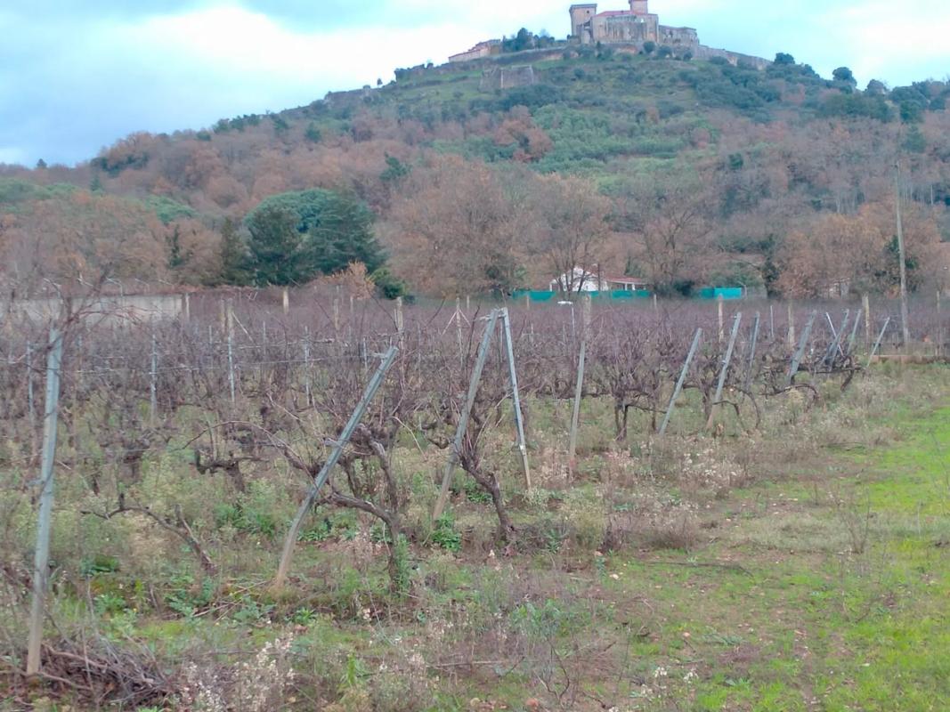 Terreno en venta en Verin, Ourense photo 3