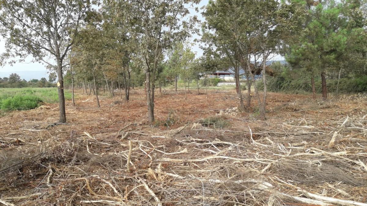 Land for sale in Verin, Ourense photo 4