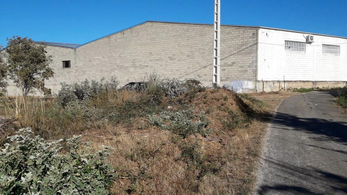 Land for sale in Verin, Ourense photo 5