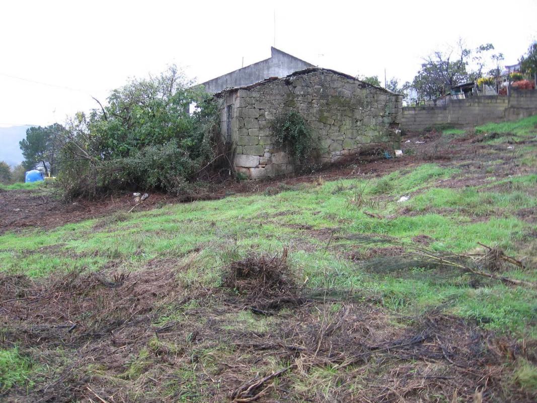 Land for sale in Verin, Ourense photo 2
