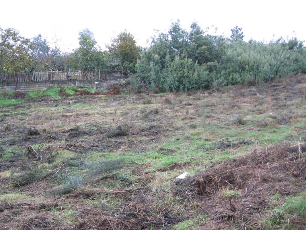Land for sale in Verin, Ourense photo 4