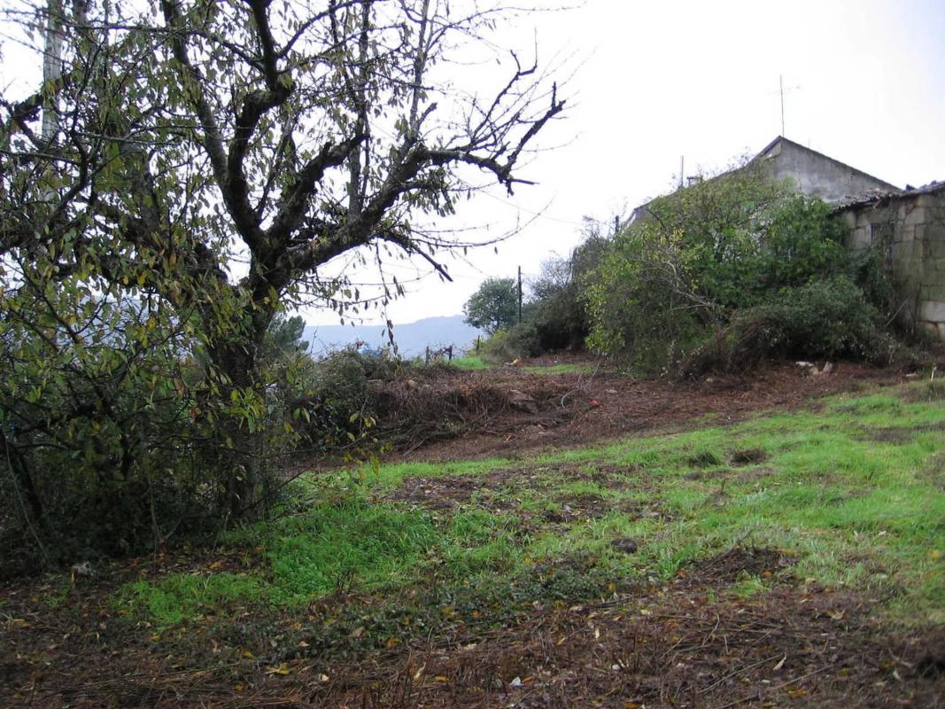 Land for sale in Verin, Ourense photo 5