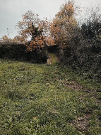 Terreno en Seoane de abaixo s/n iberdrola photo 1