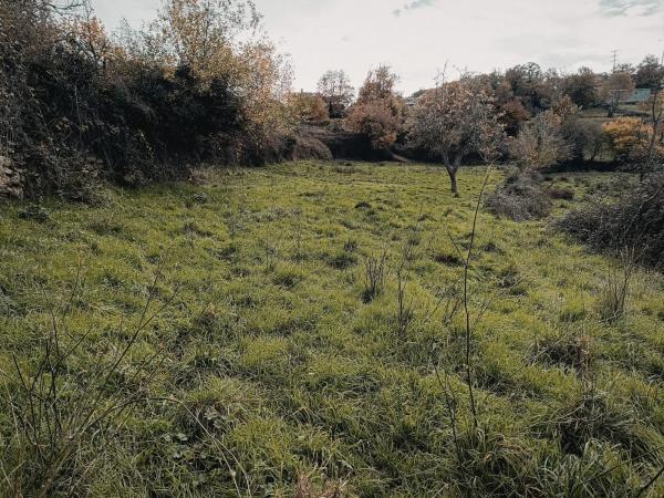 Terreno en Seoane de abaixo s/n iberdrola photo 4