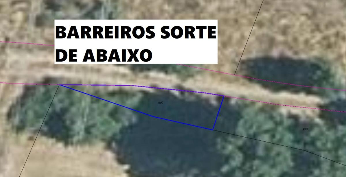 Land for sale in Viana do Bolo, Ourense photo 2