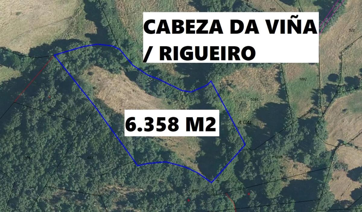 Land for sale in Viana do Bolo, Ourense photo 3