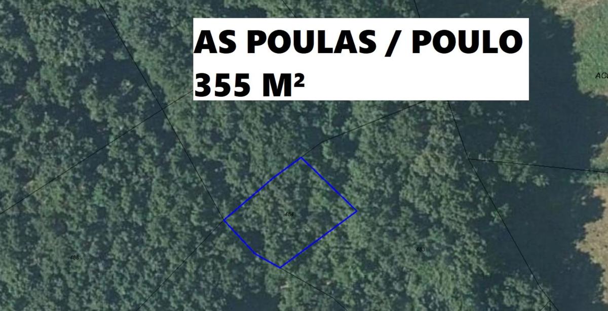Land for sale in Viana do Bolo, Ourense photo 4