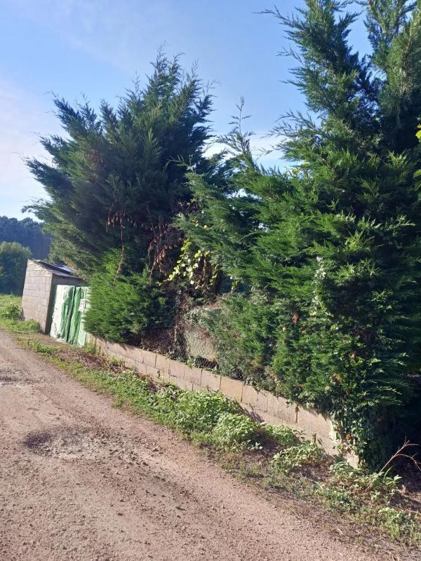Terreno en venta en Vilamartin de Valdeorras, Ourense photo 4