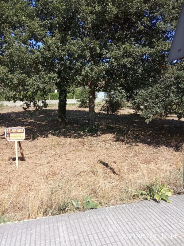 Land for sale in Vilar de Santos, Ourense photo 5