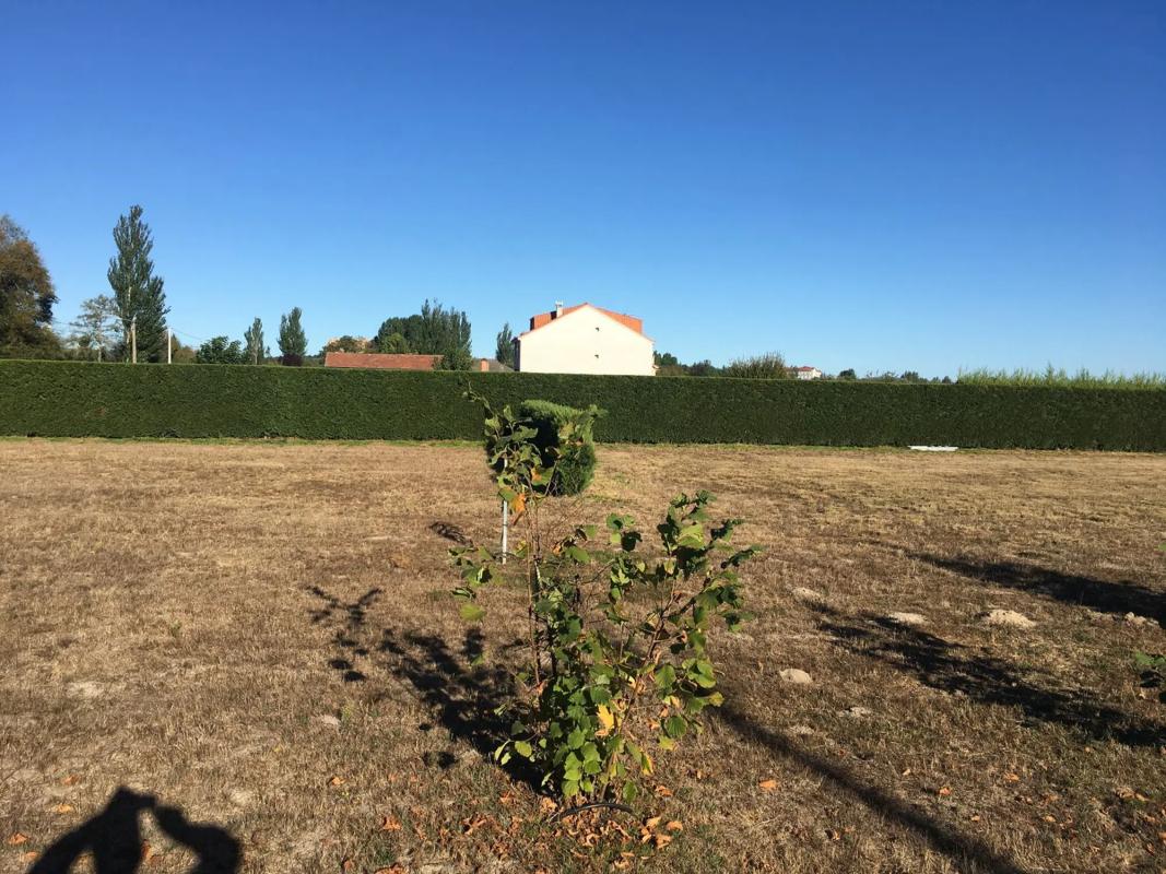 Участок земли на продажу в Синсо-де-Лимия, Оренсе photo 3