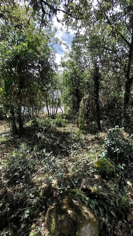 Участок земли на продажу в Синсо-де-Лимия, Оренсе photo 5