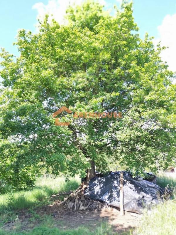 Terreno en venta en Xunqueira de Ambia, Ourense photo 2