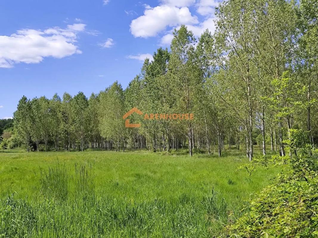 Terreno en venta en Xunqueira de Ambia, Ourense photo 3