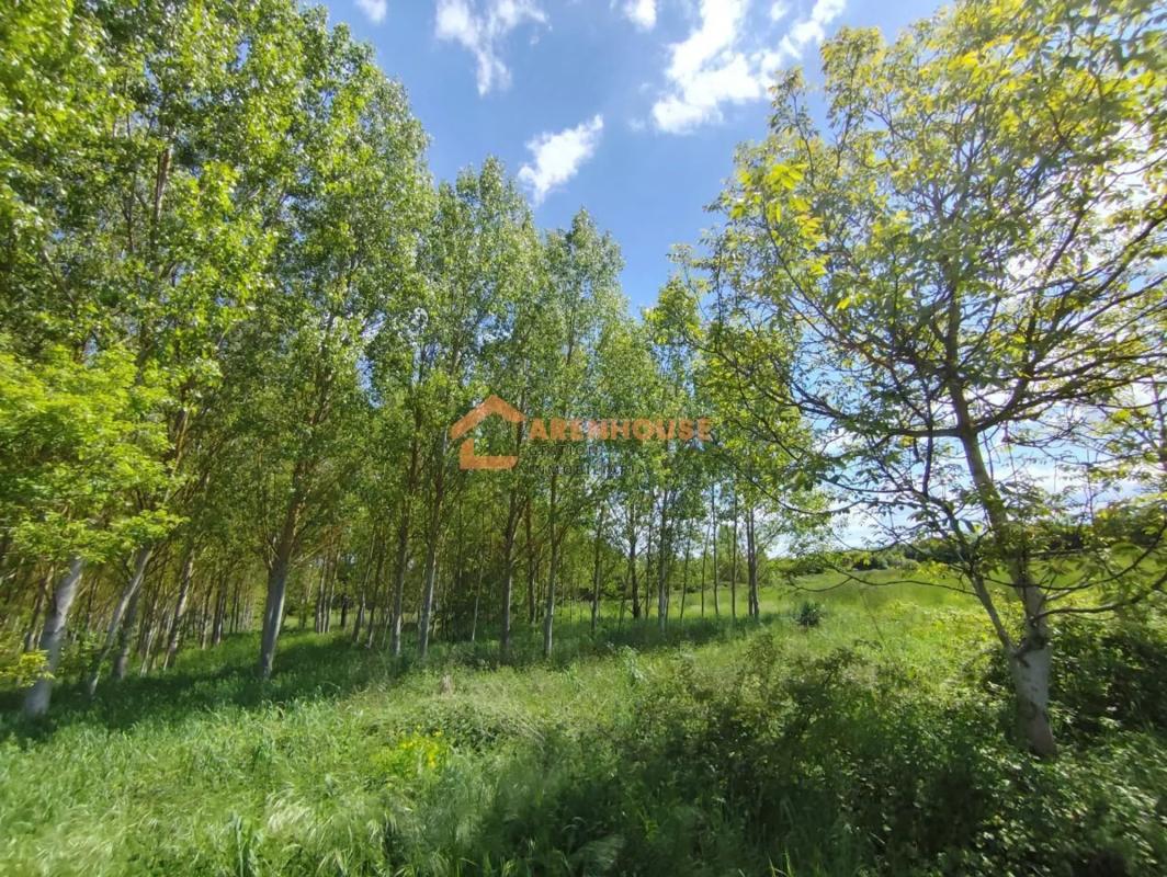 Terreno en venta en Xunqueira de Ambia, Ourense photo 4