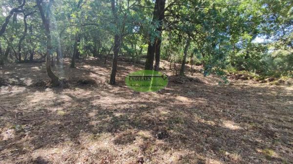Terreno en Pereiro de Aguiar photo 1