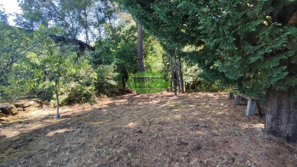 Terreno en venta en Pereiro de Aguiar, Ourense photo 2