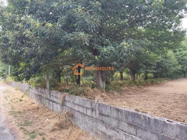 Terreno en Amoeiro photo 2
