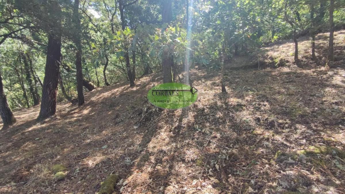 Terreno en venta en Pereiro de Aguiar, Ourense photo 3