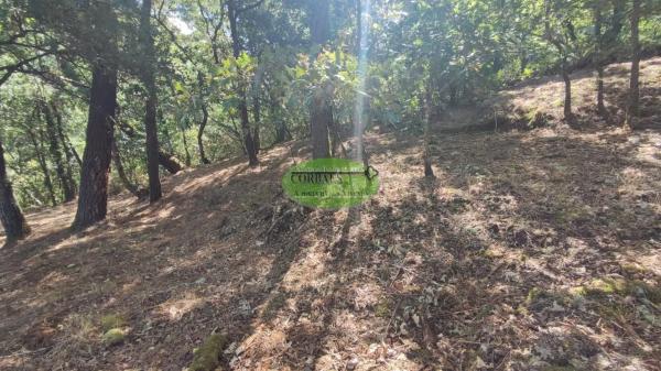 Terreno en Pereiro de Aguiar thumbnail 2
