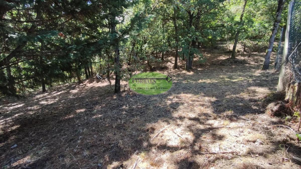 Terreno en venta en Pereiro de Aguiar, Ourense photo 4