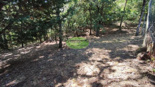 Terreno en Pereiro de Aguiar photo 4