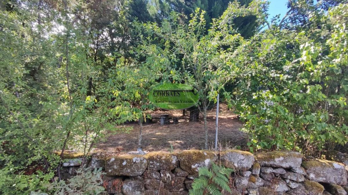 Terreno en venta en Pereiro de Aguiar, Ourense photo 5