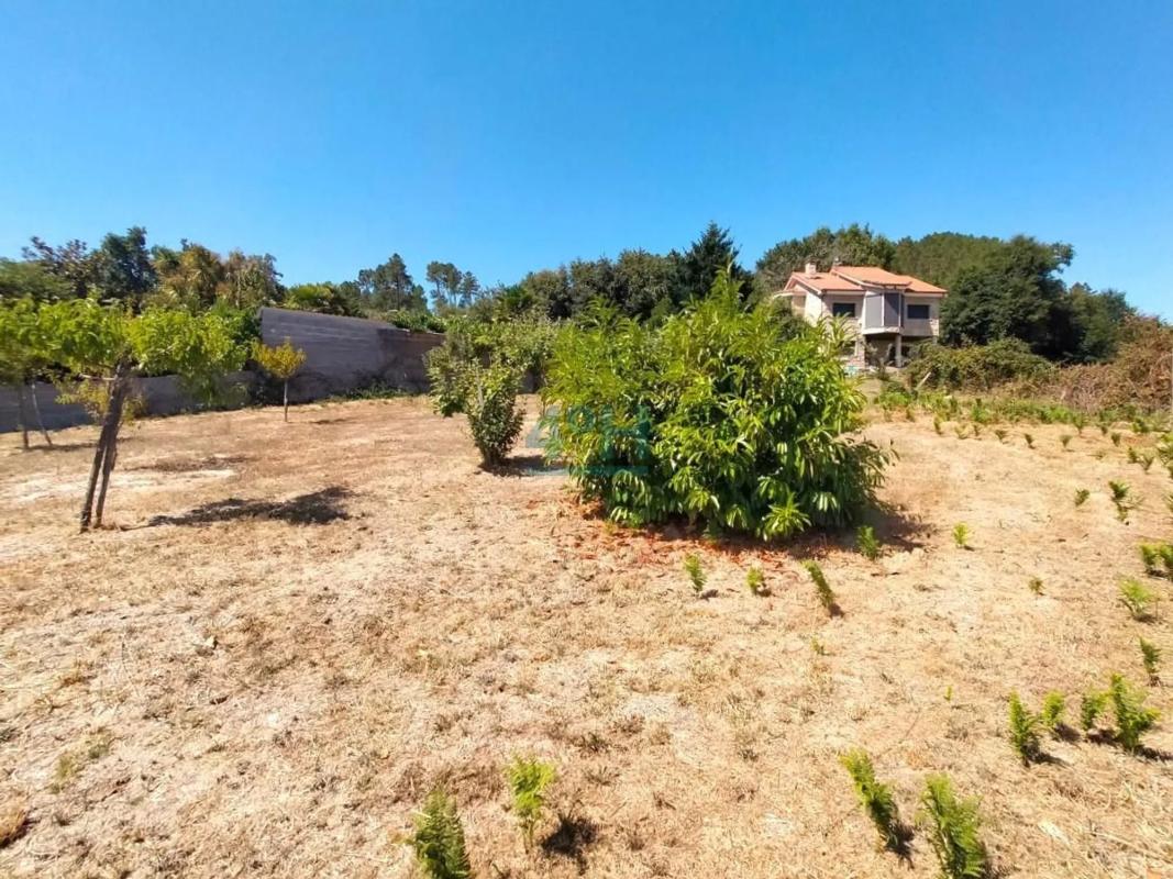 Land for sale in Coles, Ourense photo 1