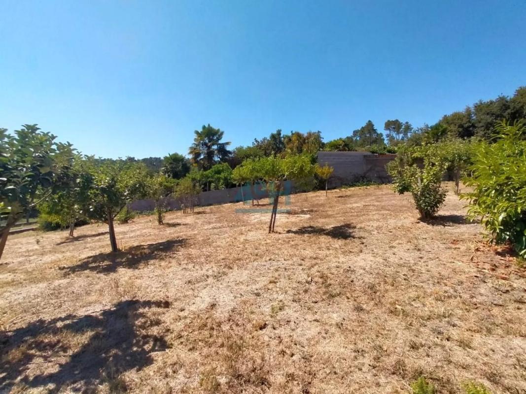 Land for sale in Coles, Ourense photo 2