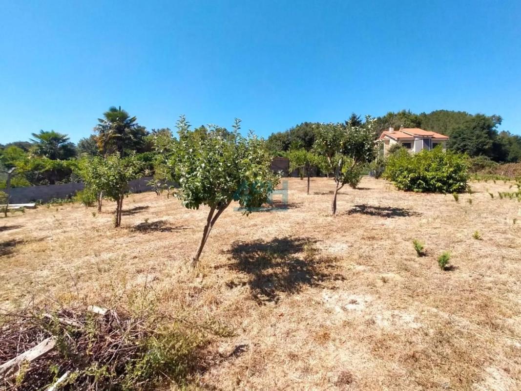 Land for sale in Coles, Ourense photo 4