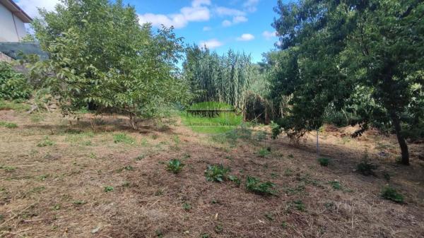 Terreno en Pereiro de Aguiar thumbnail 2