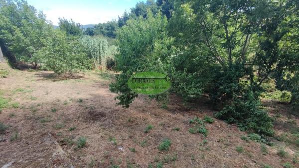 Terreno en Pereiro de Aguiar photo 4