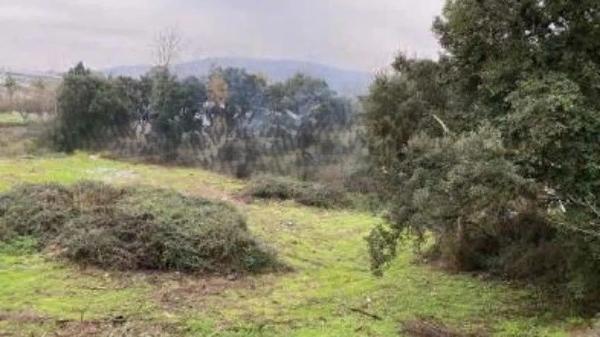 Terreno en calle Madre Soledad de la Cruz, 43 photo 3