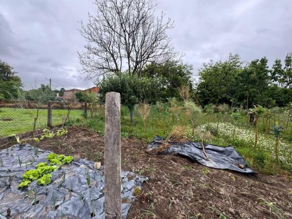 Terreno en Vilamarin photo 4