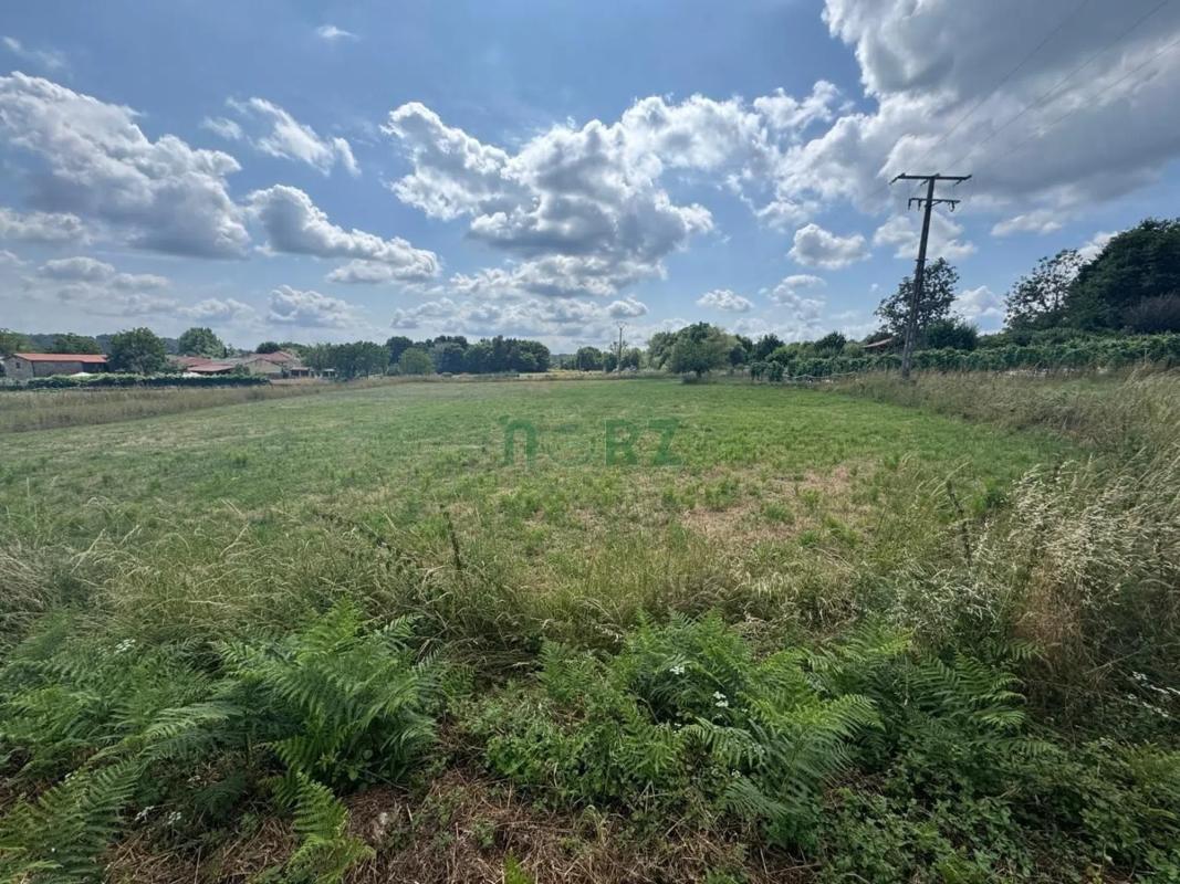 Land for sale in Vilamarin, Ourense photo 1