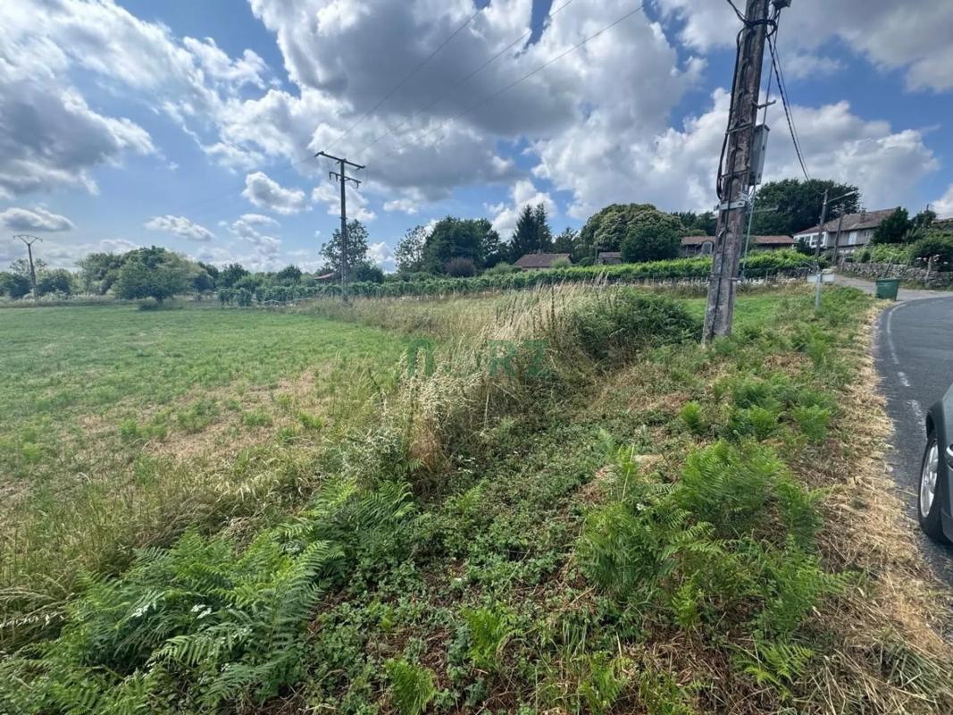Land for sale in Vilamarin, Ourense photo 2