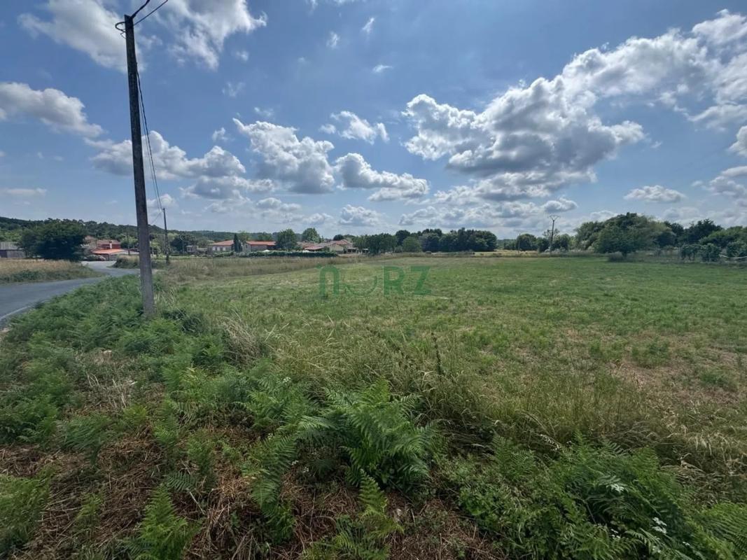 Land for sale in Vilamarin, Ourense photo 3